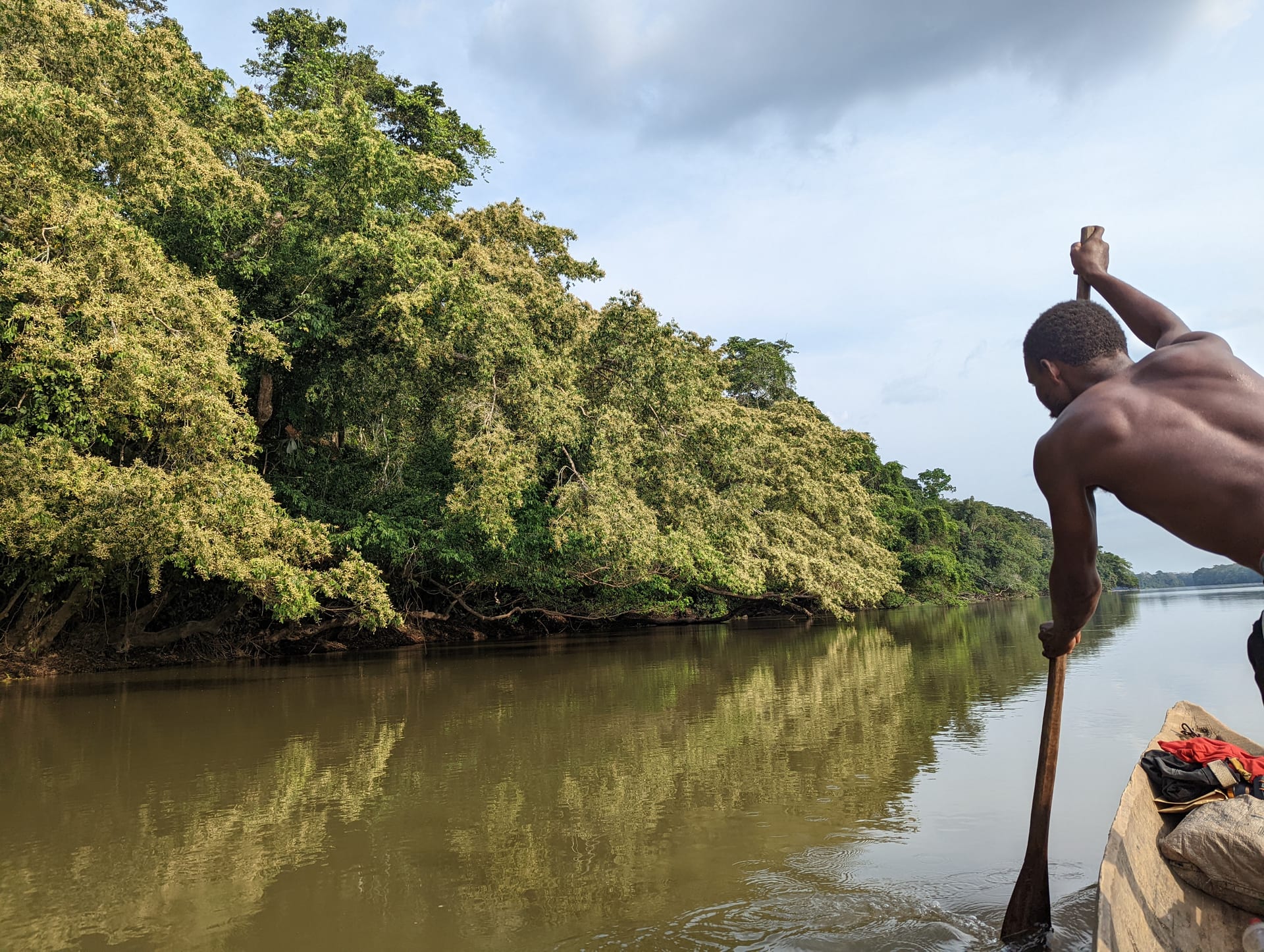 A dugout canoe travelling along a tropical forest river